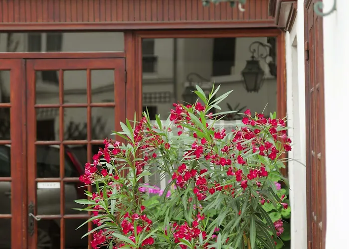 Du Cheval Rouge Wersal